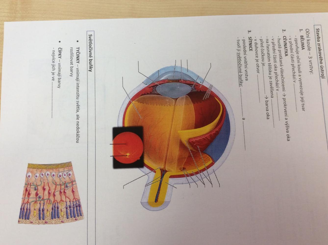 Projektový den na Gymnáziu v ÚO - 1