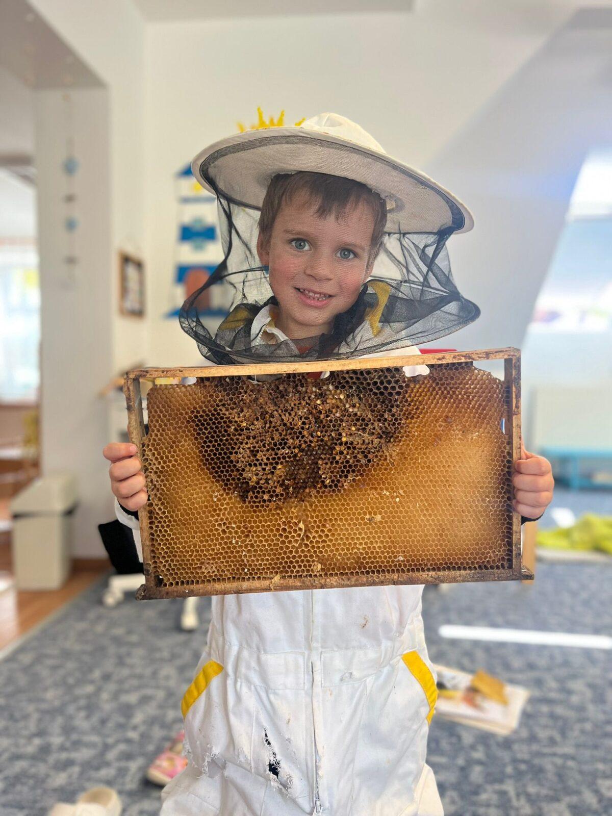 včelky u námořníků - 1