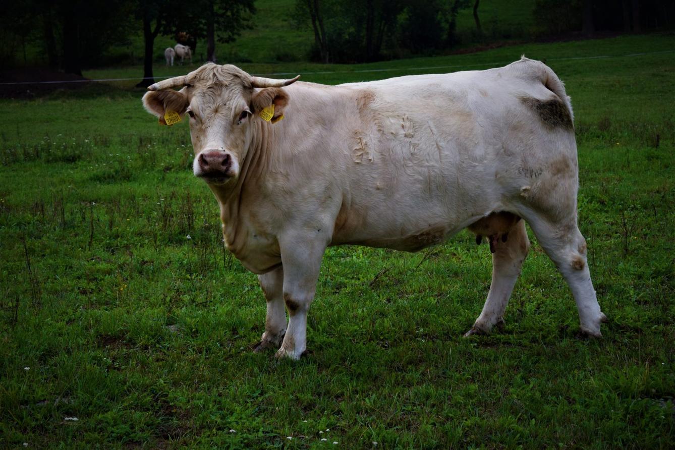 "Osmáci" na Naučné stezce Libchavy - 5