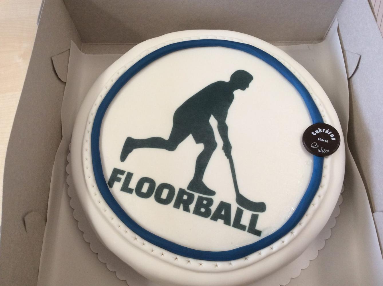 Postup florbalistů do kraje - 25