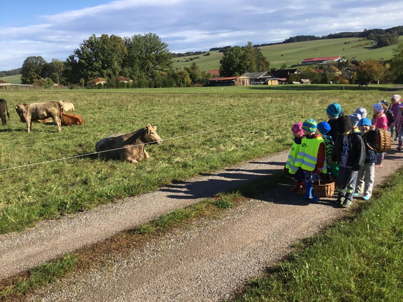 "Kam chodí broučci spát" - 1