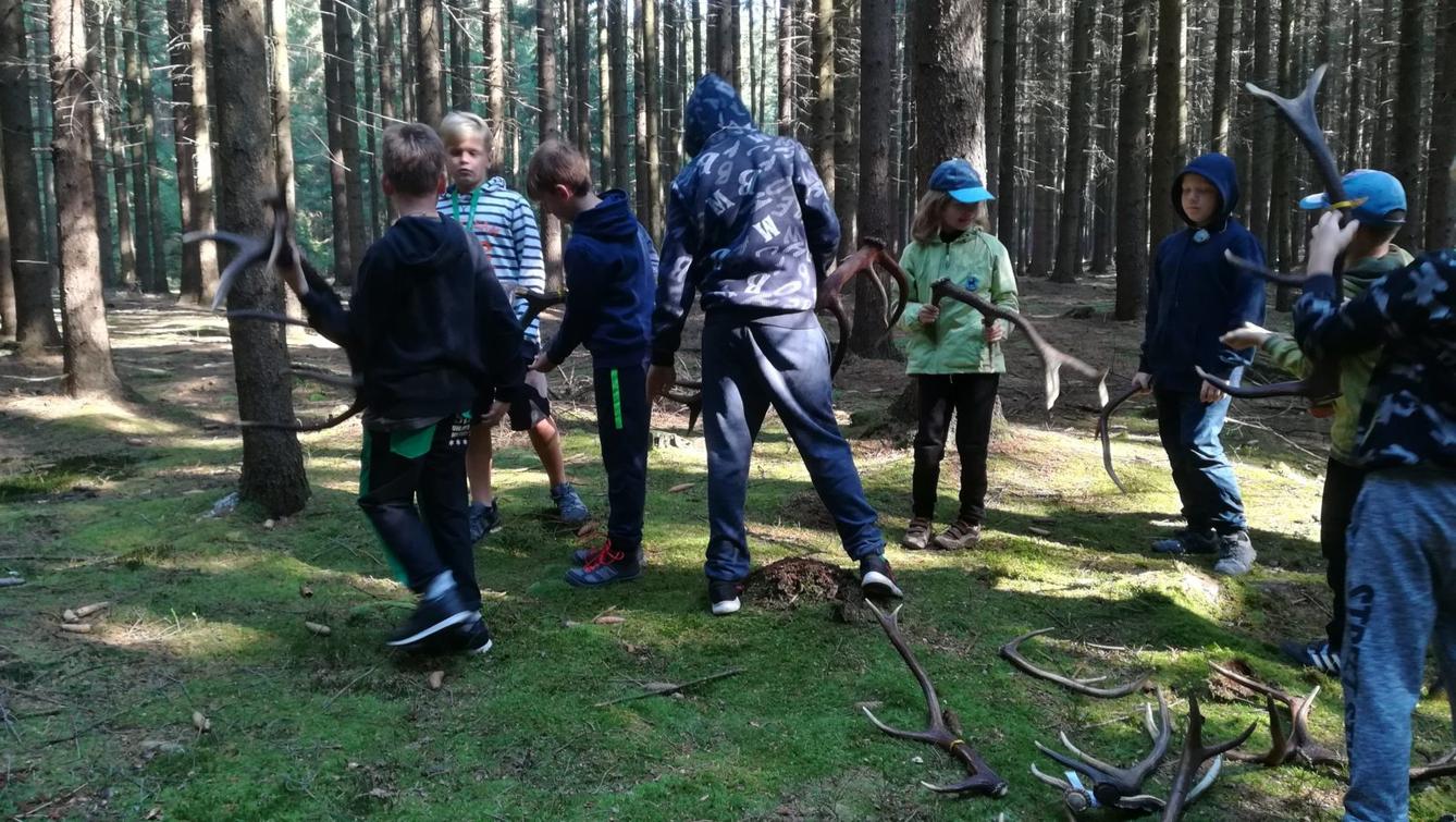 Do lesa s lesníkem - 2