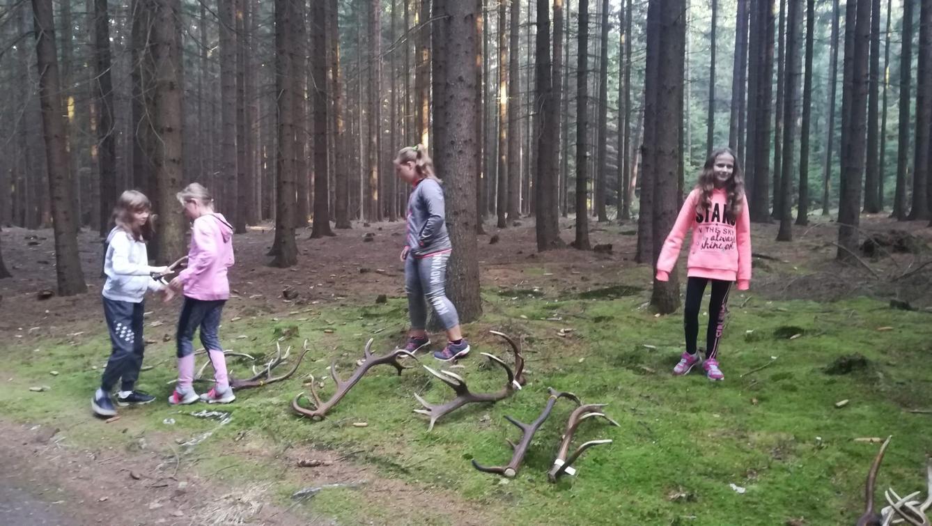 Do lesa s lesníkem - 6