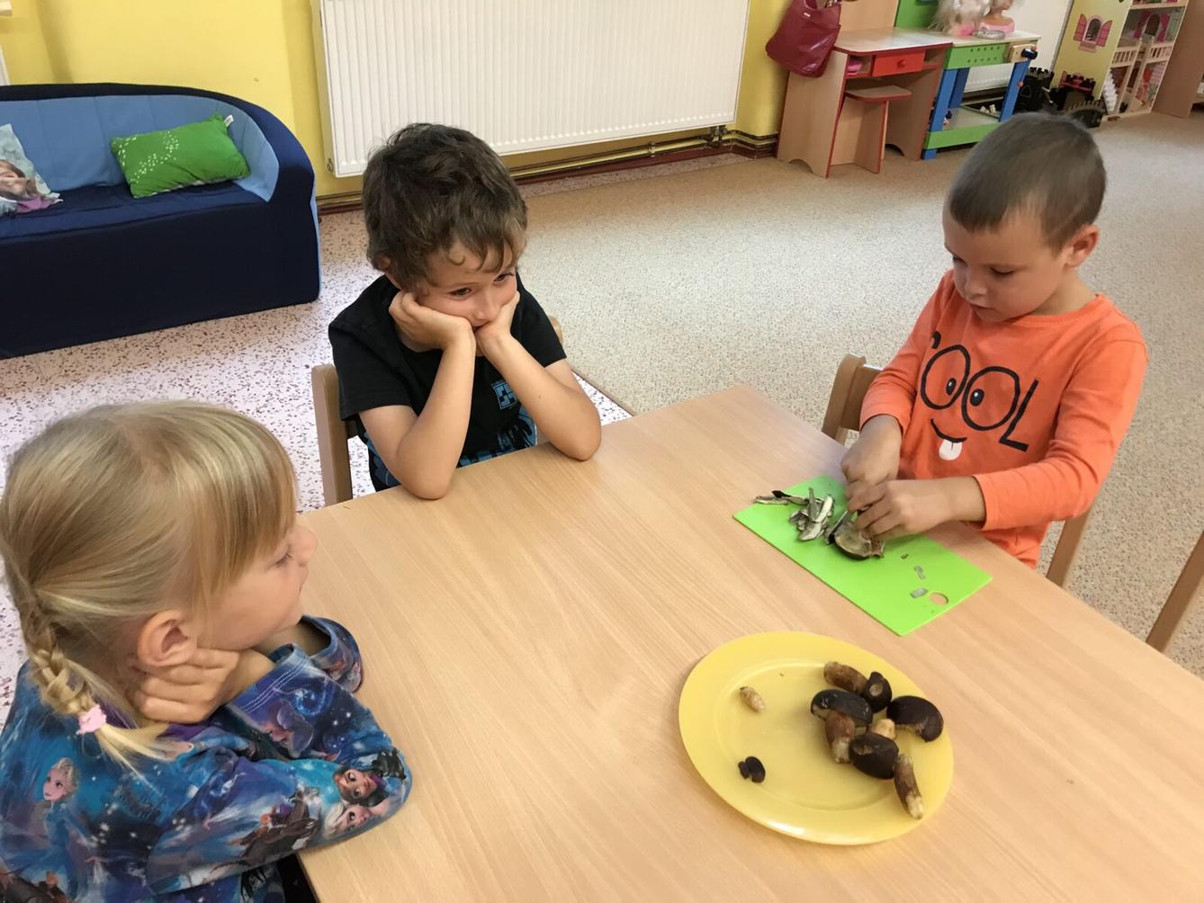 SOVIČKY: ,,LES" - 2