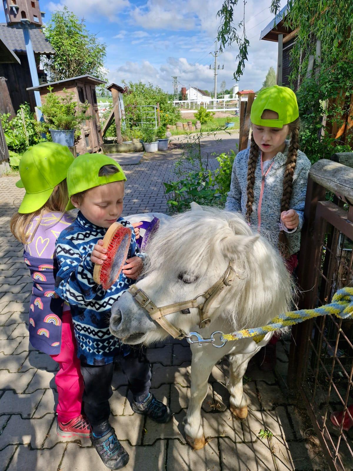 VÝLET NA BABIČČIN STATEK - 2