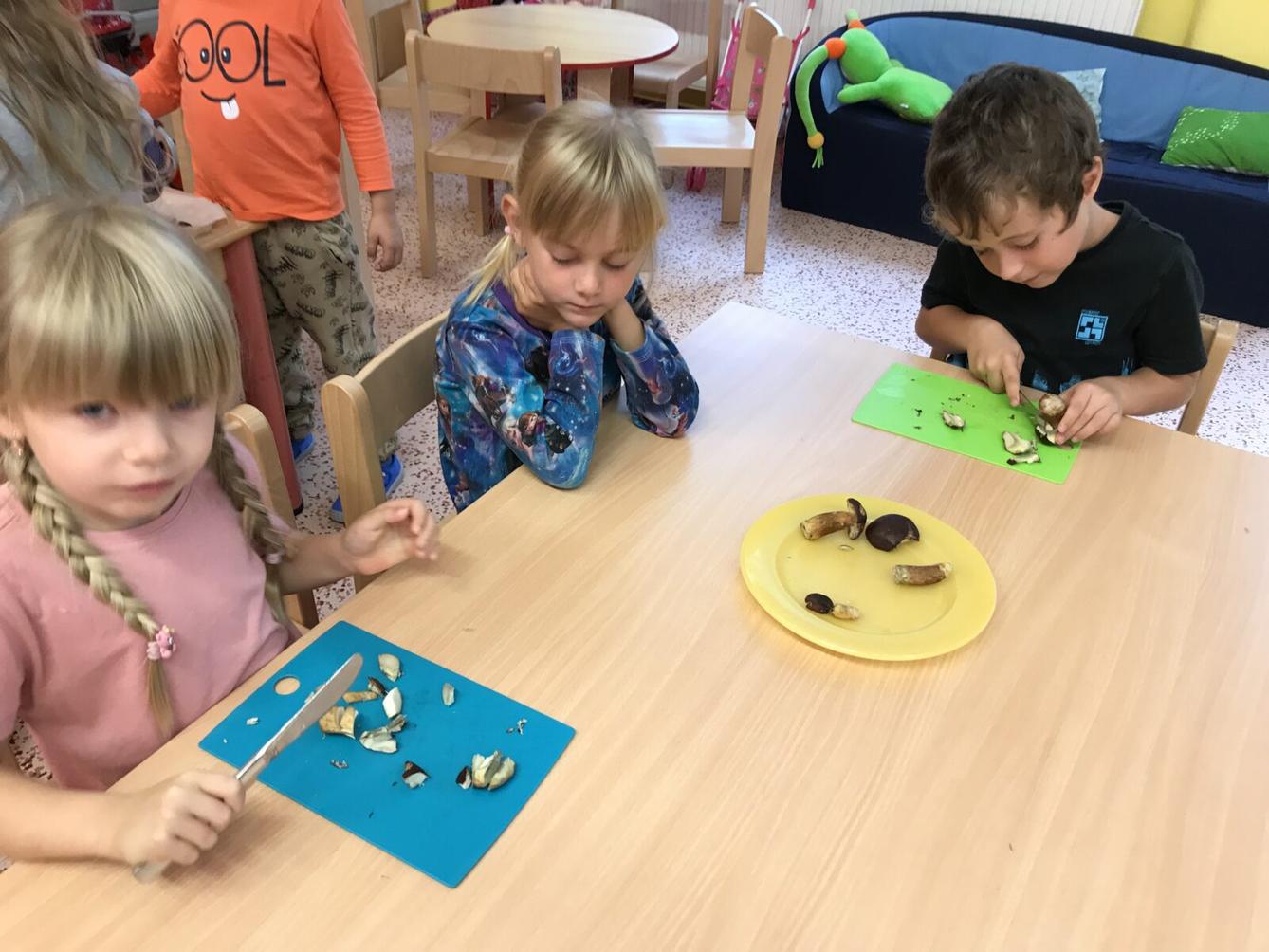 SOVIČKY: ,,LES" - 3