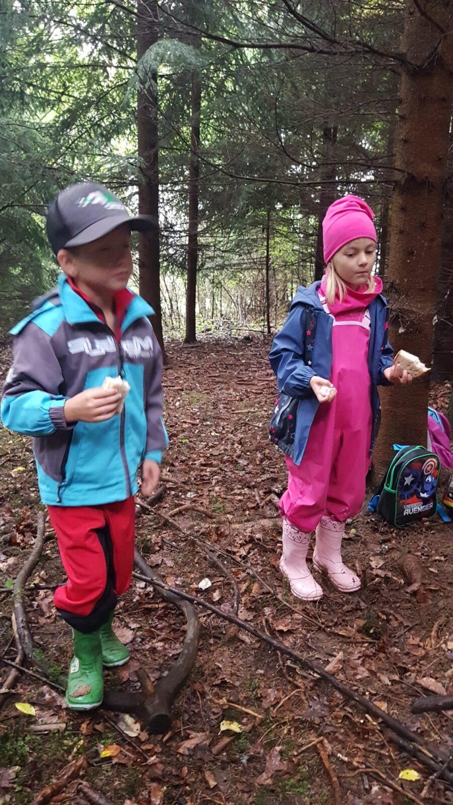 SOVIČKY: ,,VÝPRAVA DO LESA" - 3