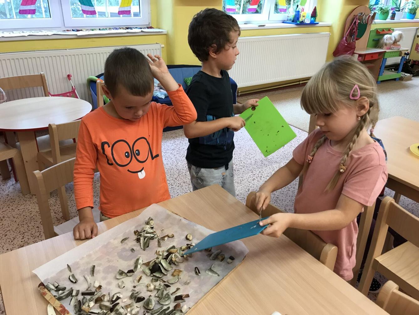 SOVIČKY: ,,LES" - 5