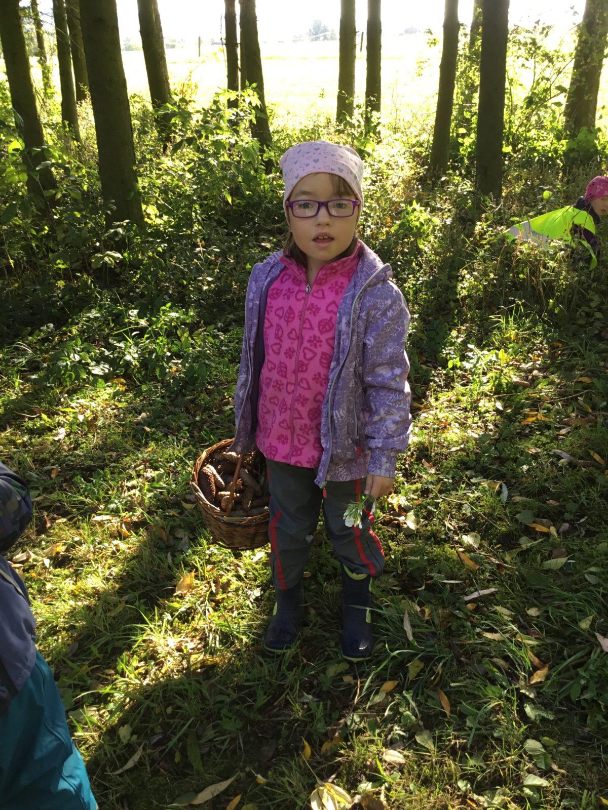 "Kam chodí broučci spát" - 5