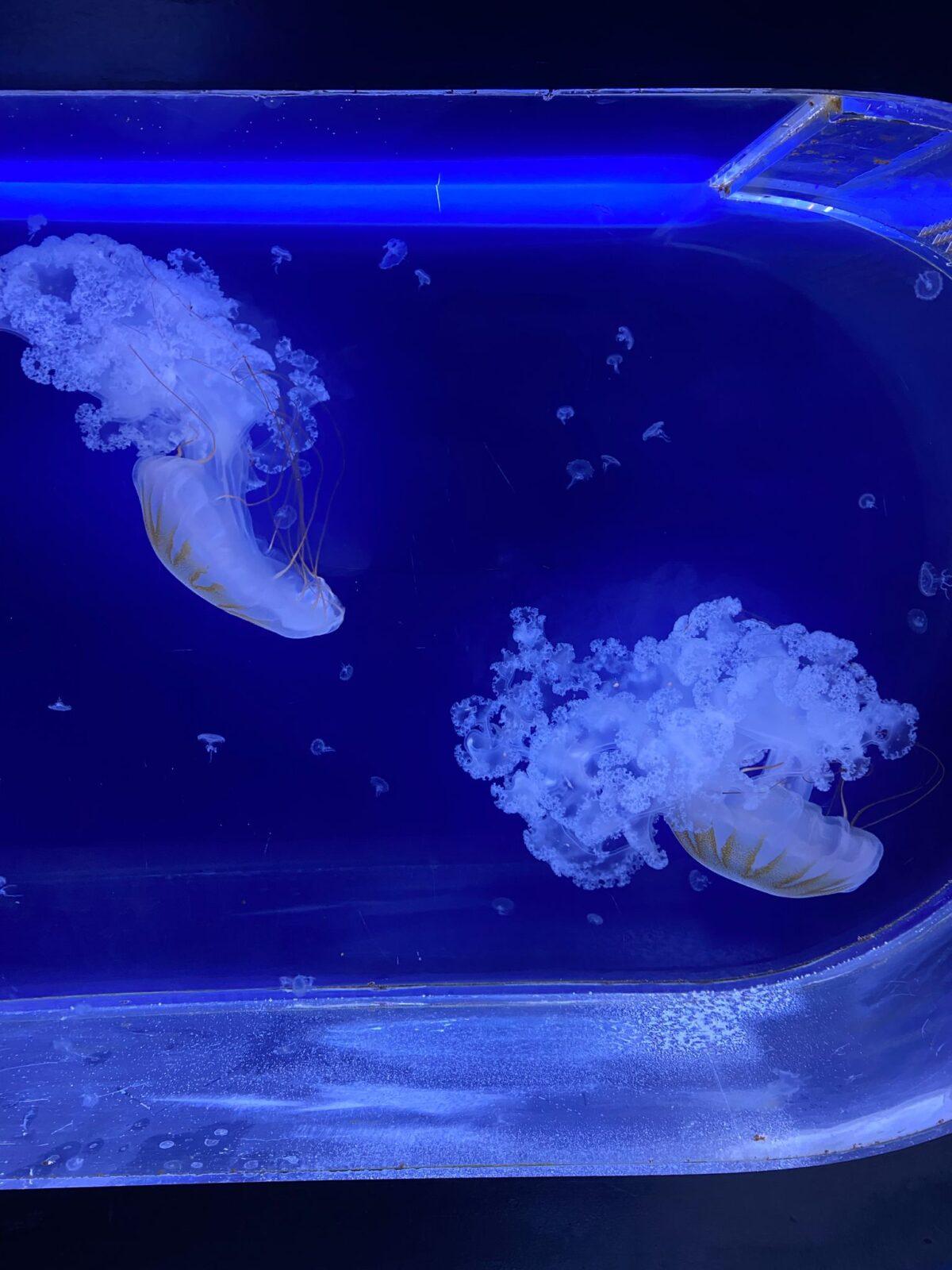 Školní výlet 8. B - 2