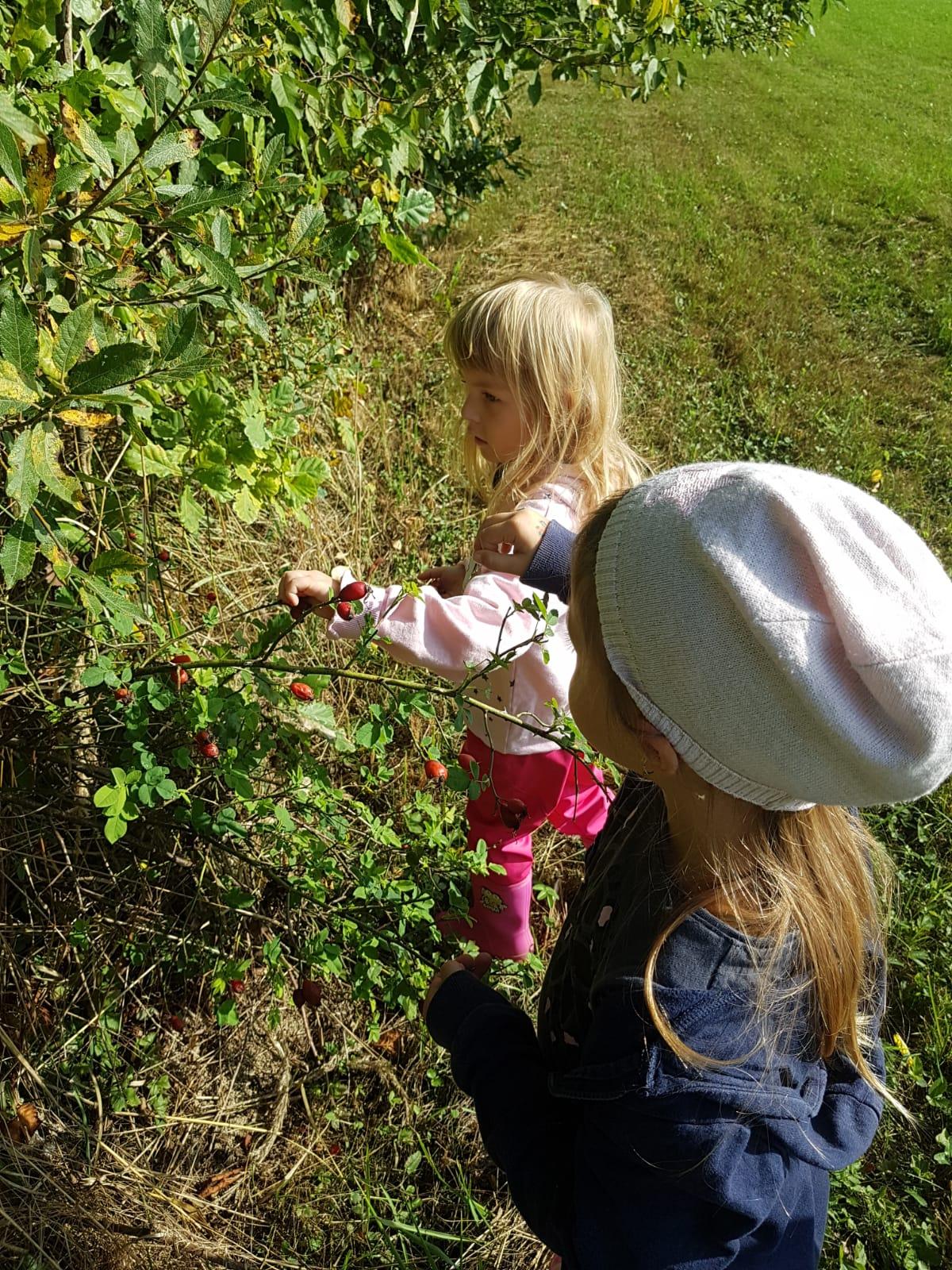 SOVIČKY: LES NÁS BAVÍ - 6