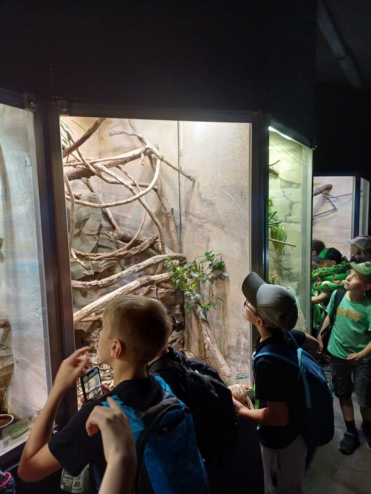 17. 6. Druháčci a třeťáčci v Safari Parku Dvůr Králové - 6