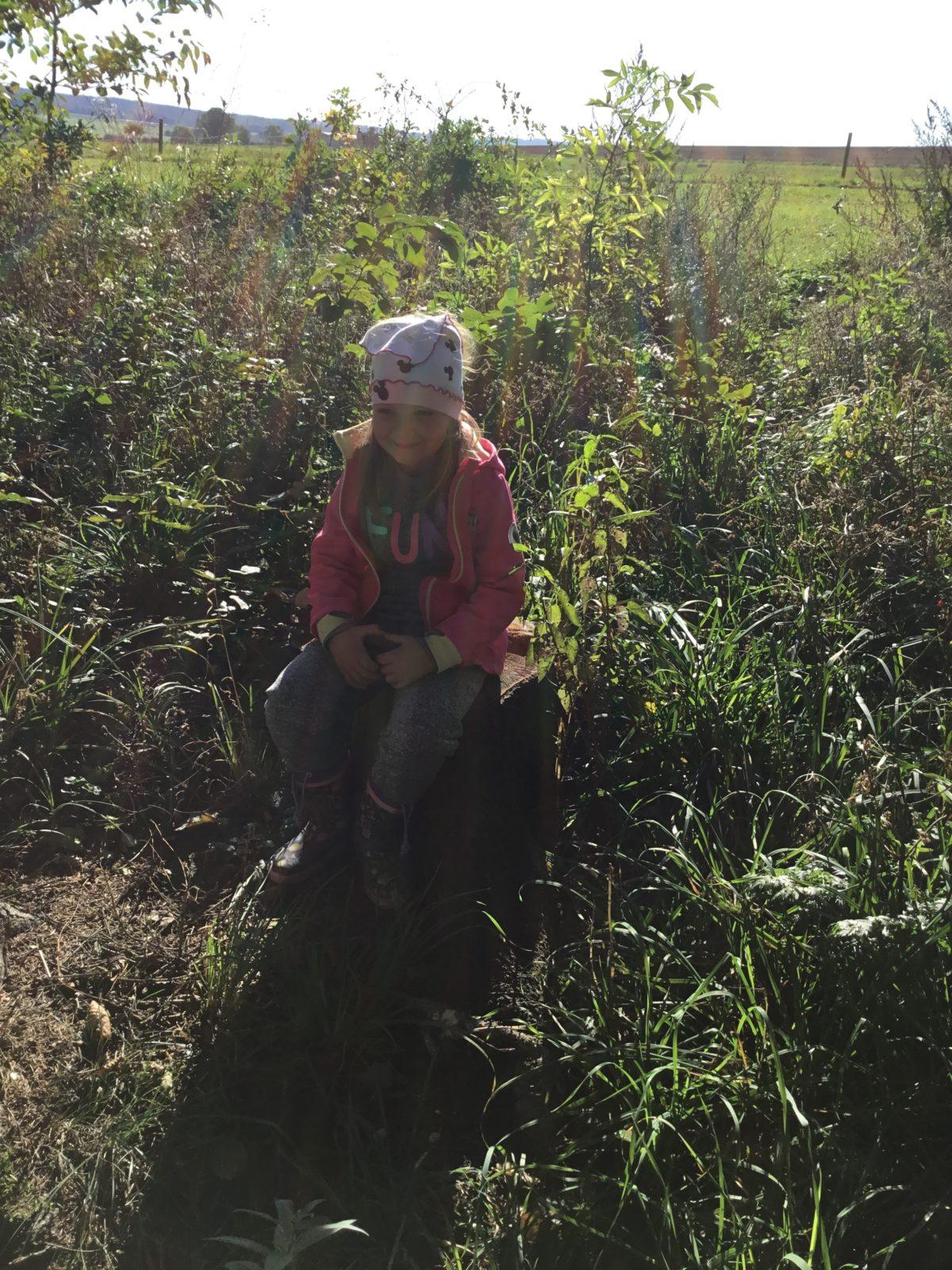 "Kam chodí broučci spát" - 7