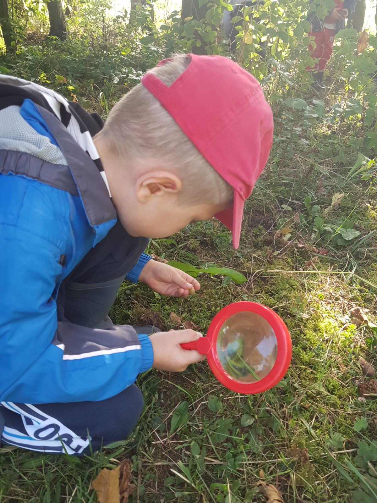 SOVIČKY: LES NÁS BAVÍ - 9