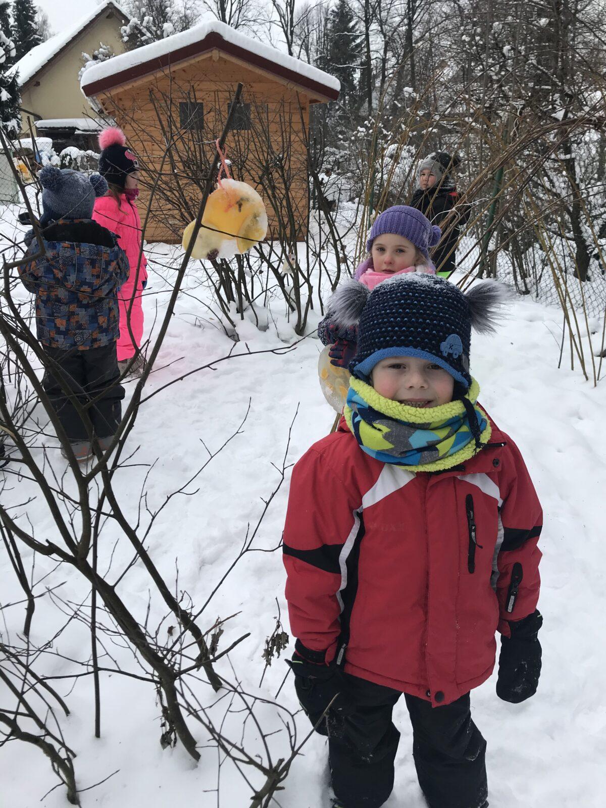 SOVIČKY: ,,VOŇAVÉ OZDOBY Z LEDU" - 10