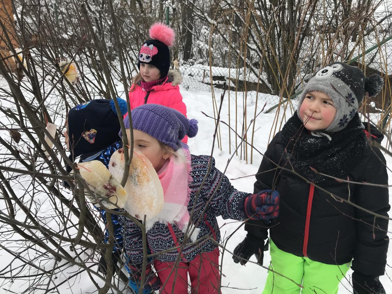 SOVIČKY: ,,VOŇAVÉ OZDOBY Z LEDU" - 11
