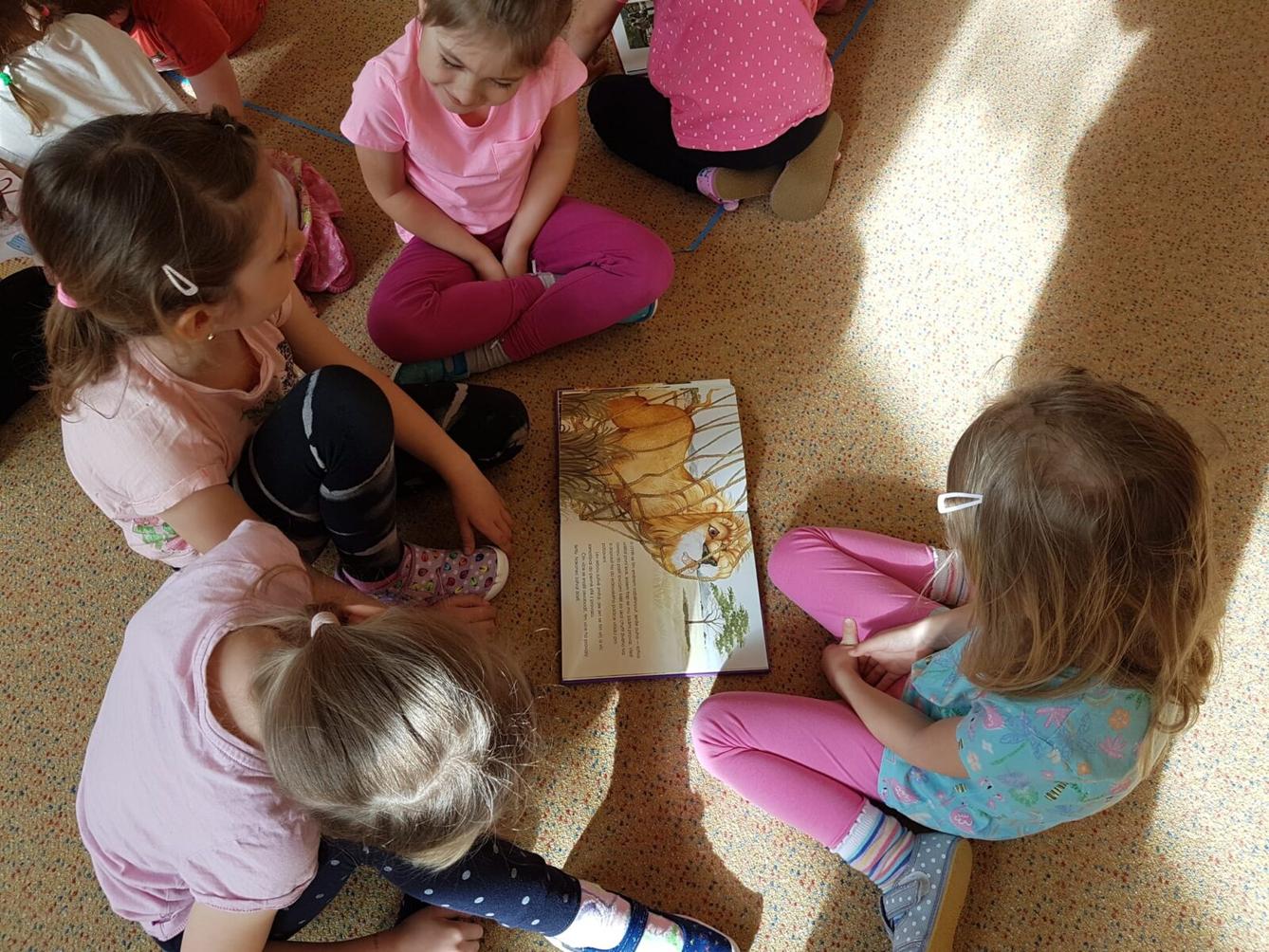 SOVIČKY: ROZVOJ ČTENÁŘSKÉ GRAMOTNOSTI V MŠ - ZVÍŘATA - 13