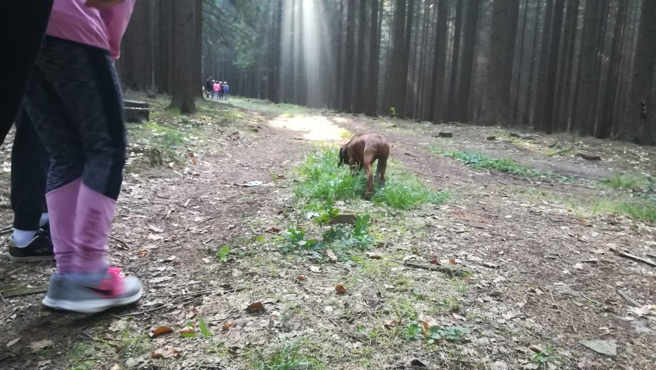 Do lesa s lesníkem - 10