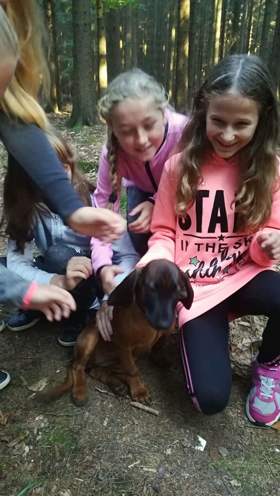 Do lesa s lesníkem - 11