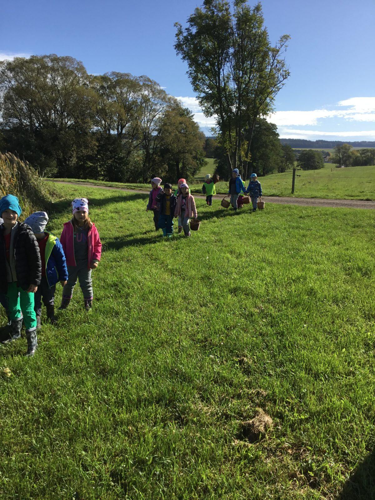 "Kam chodí broučci spát" - 13