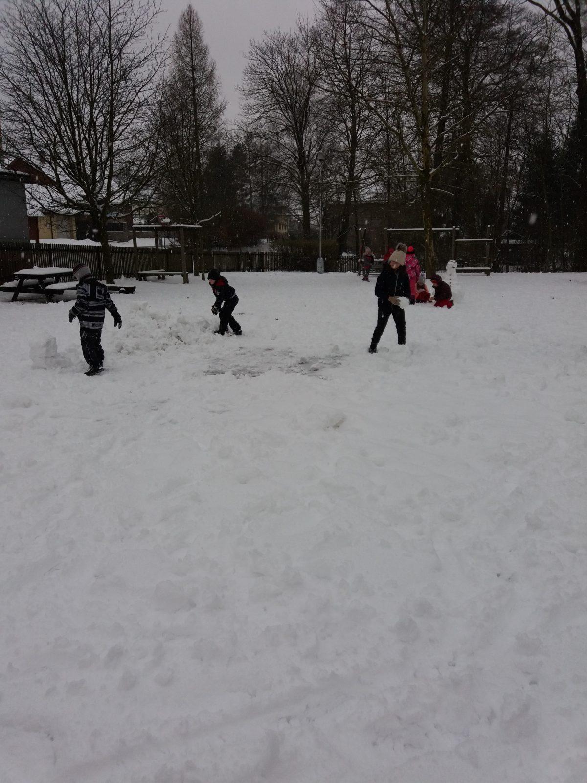 Měsíc leden ve II. oddělení - 4