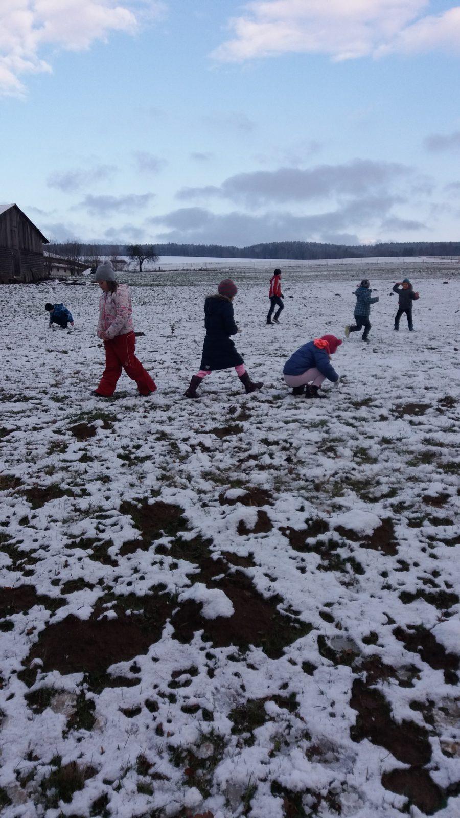 Prosinec ve 2. oddělení - 2