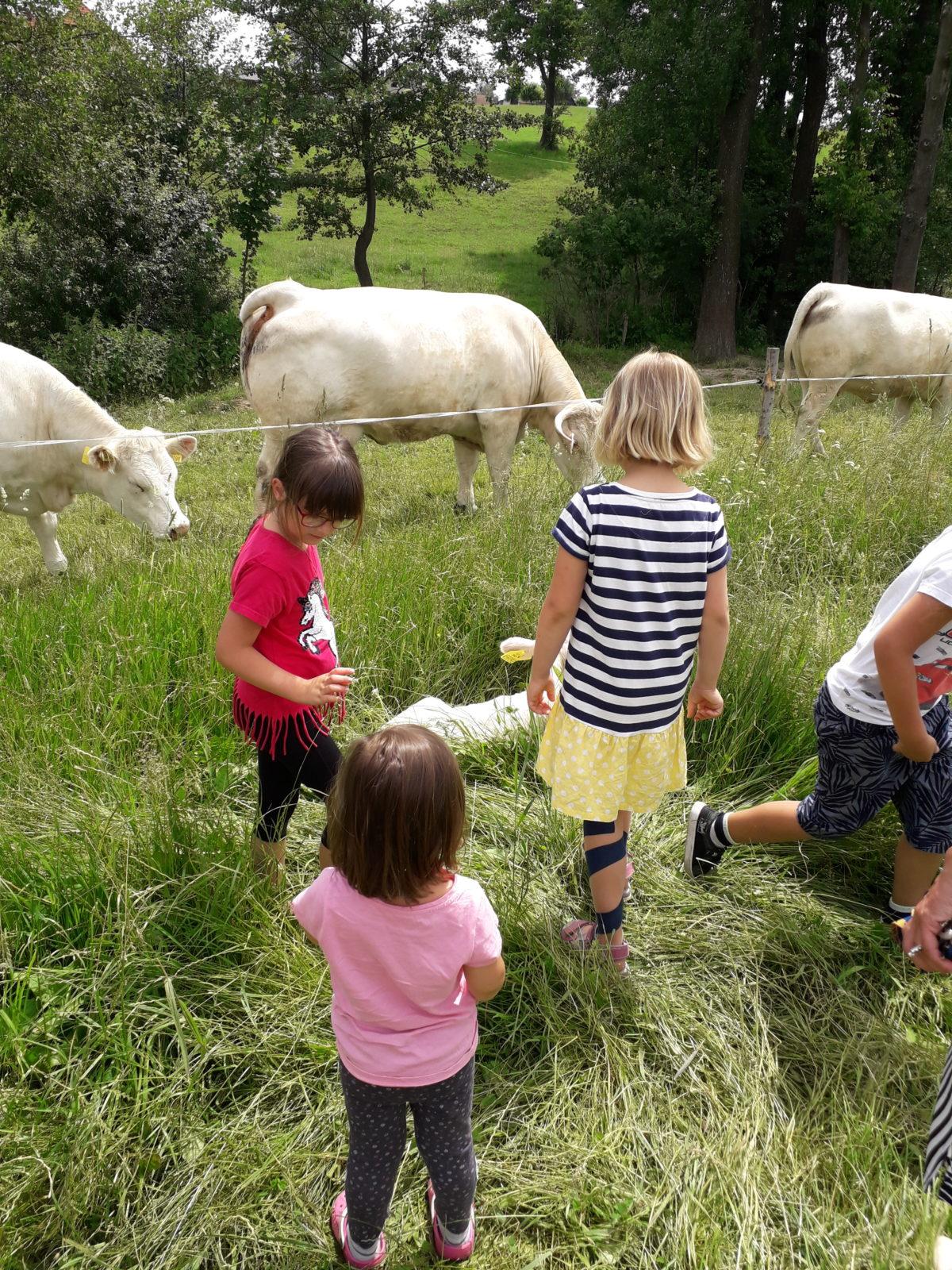 Červen - I. oddělení - 1