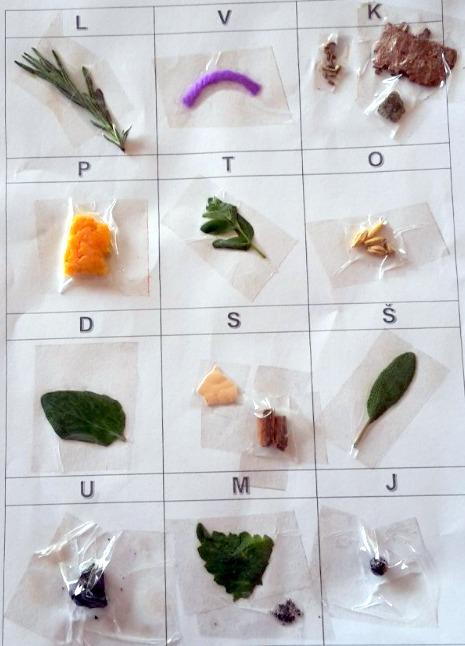 Příroda u třeťáčků 30. 5. - 1