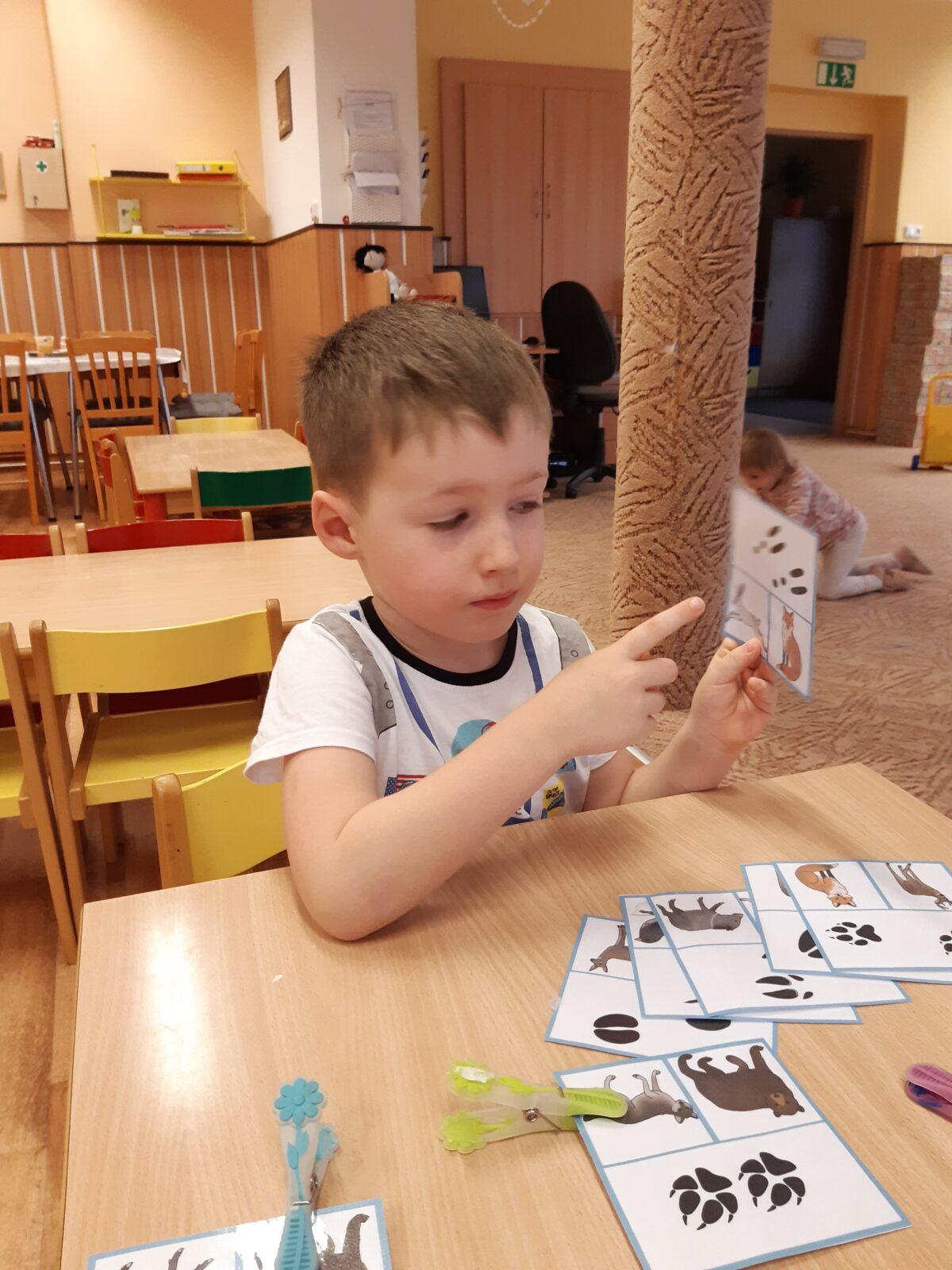 Ptáčci v zimě - 9