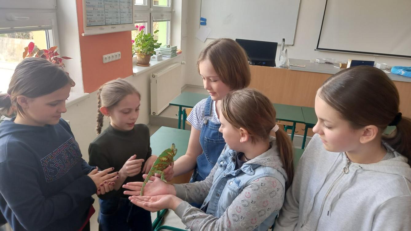 Přednáška s ukázkami exotických zvířat - 8