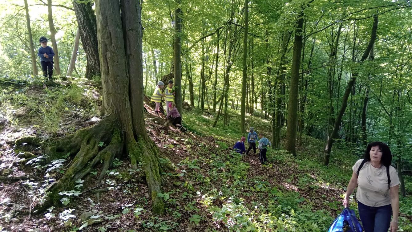 Procházka do lesa - 1