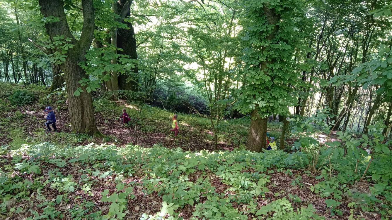 Procházka do lesa - 2