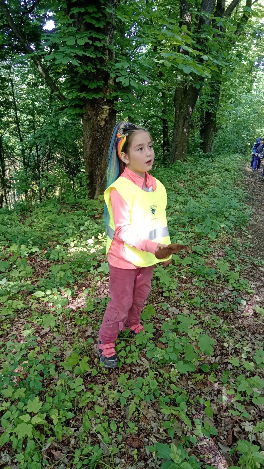 Procházka do lesa - 3