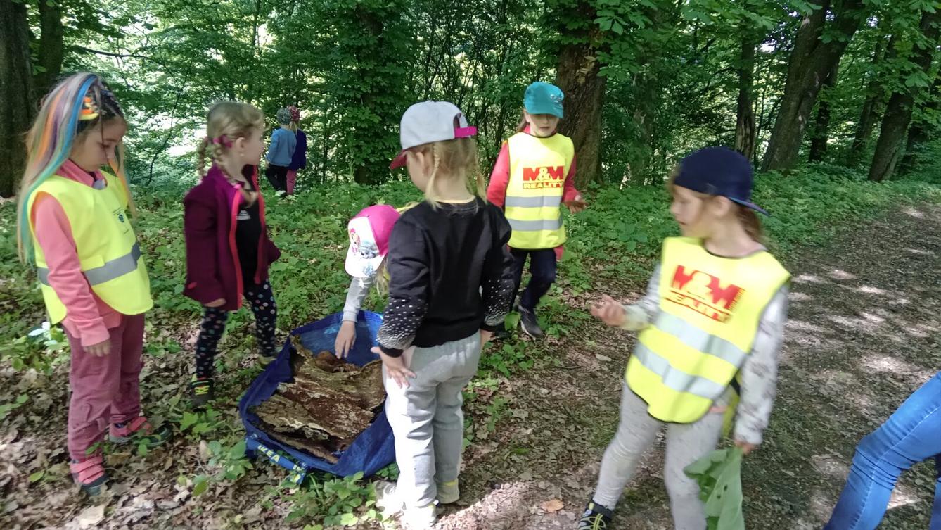 Procházka do lesa - 4