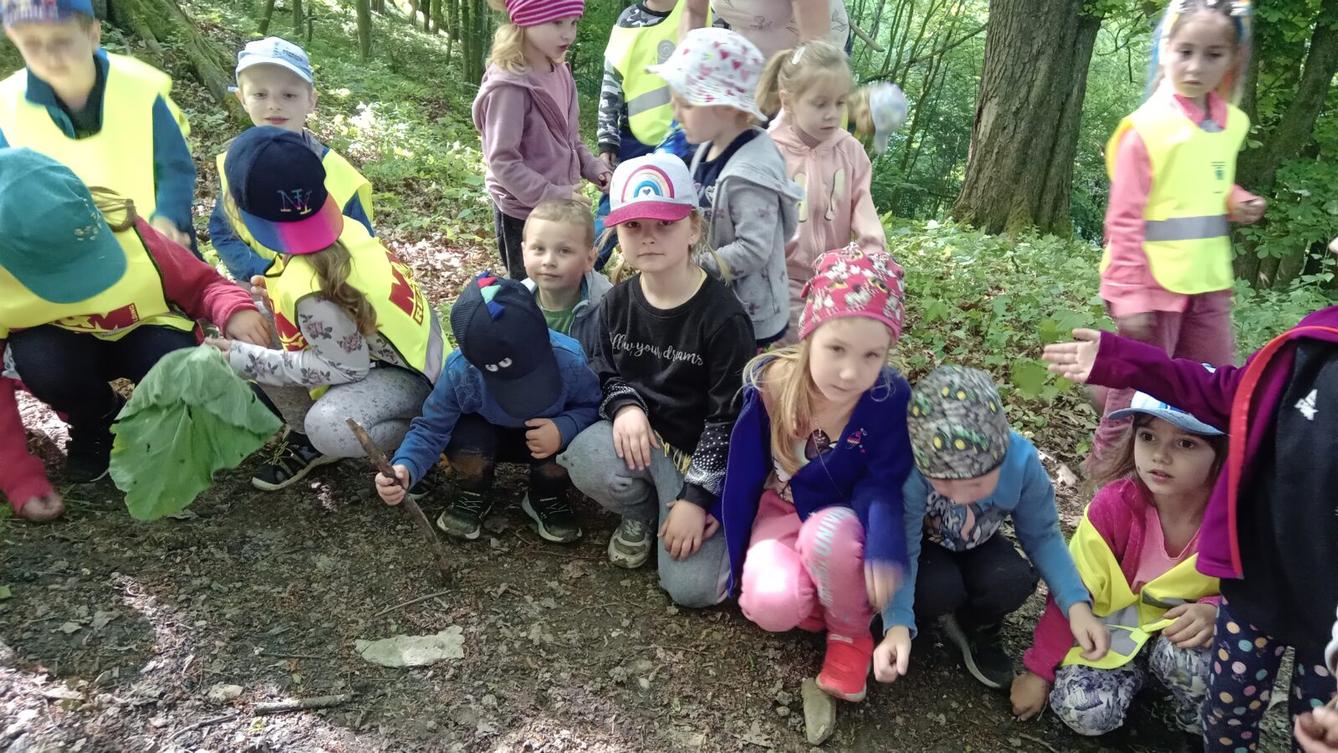 Procházka do lesa - 7