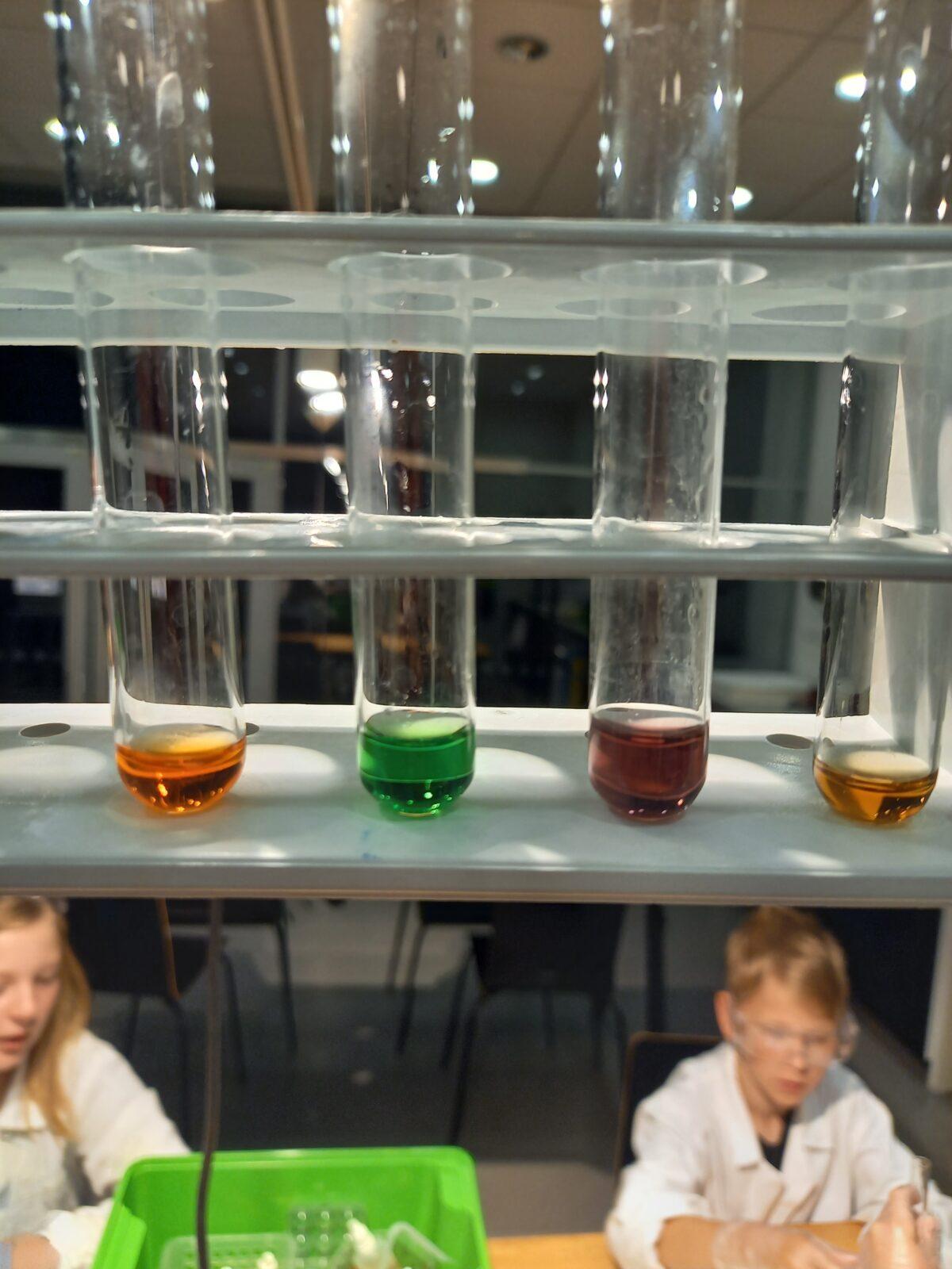 VIDA! - 5. třída na výletě - 13