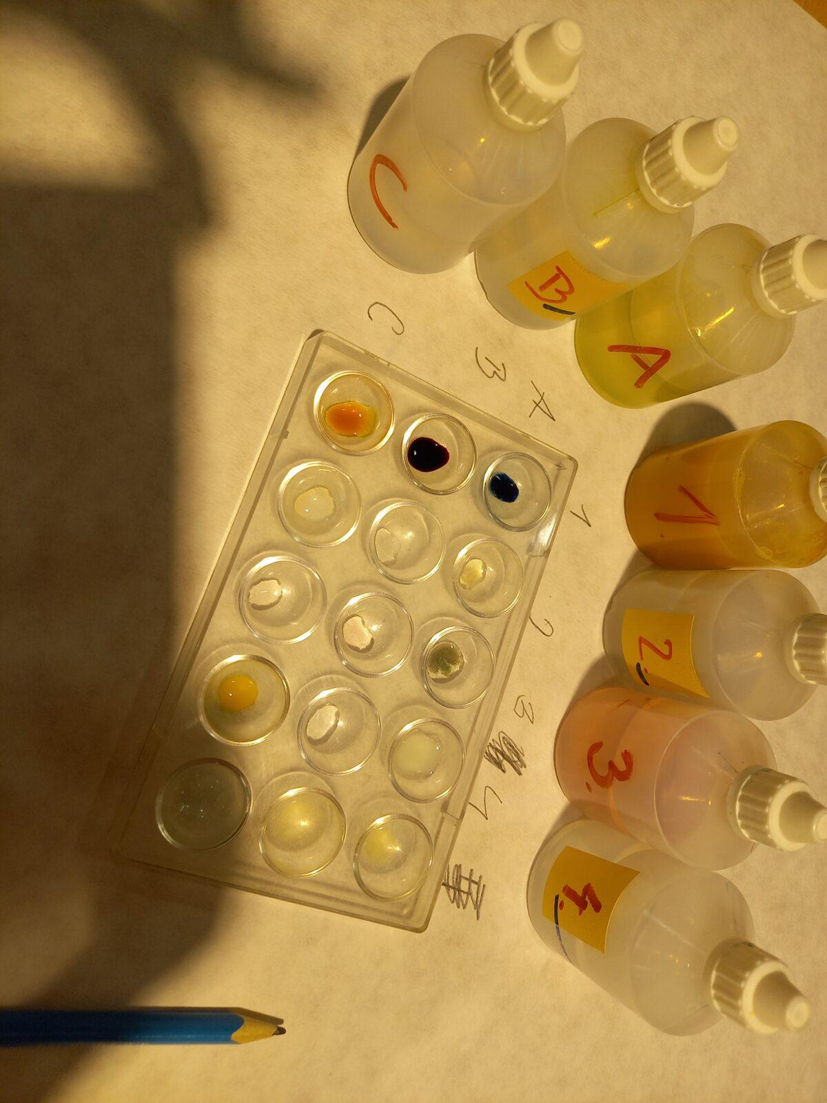 VIDA! - 5. třída na výletě - 21