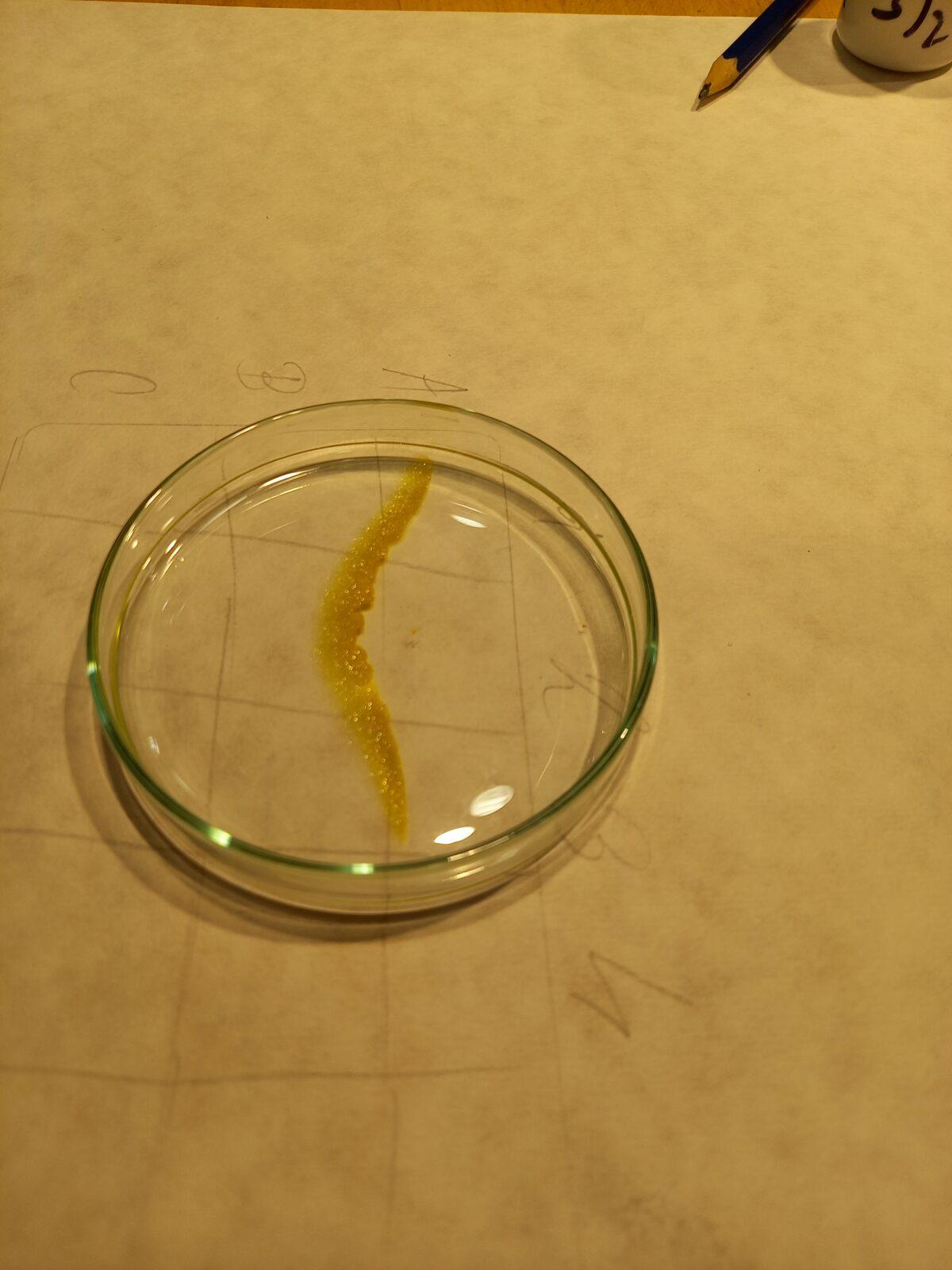 VIDA! - 5. třída na výletě - 22