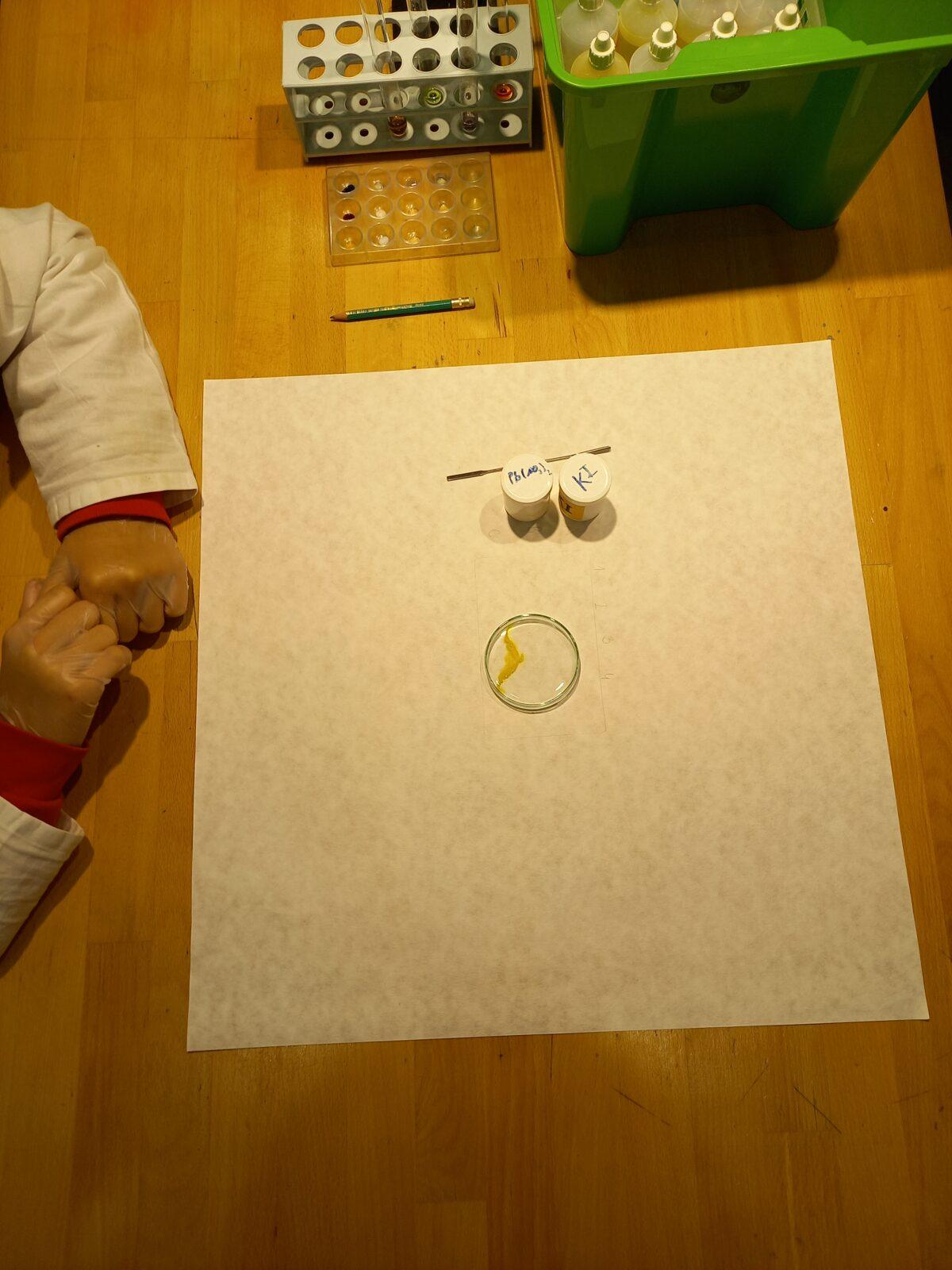 VIDA! - 5. třída na výletě - 23