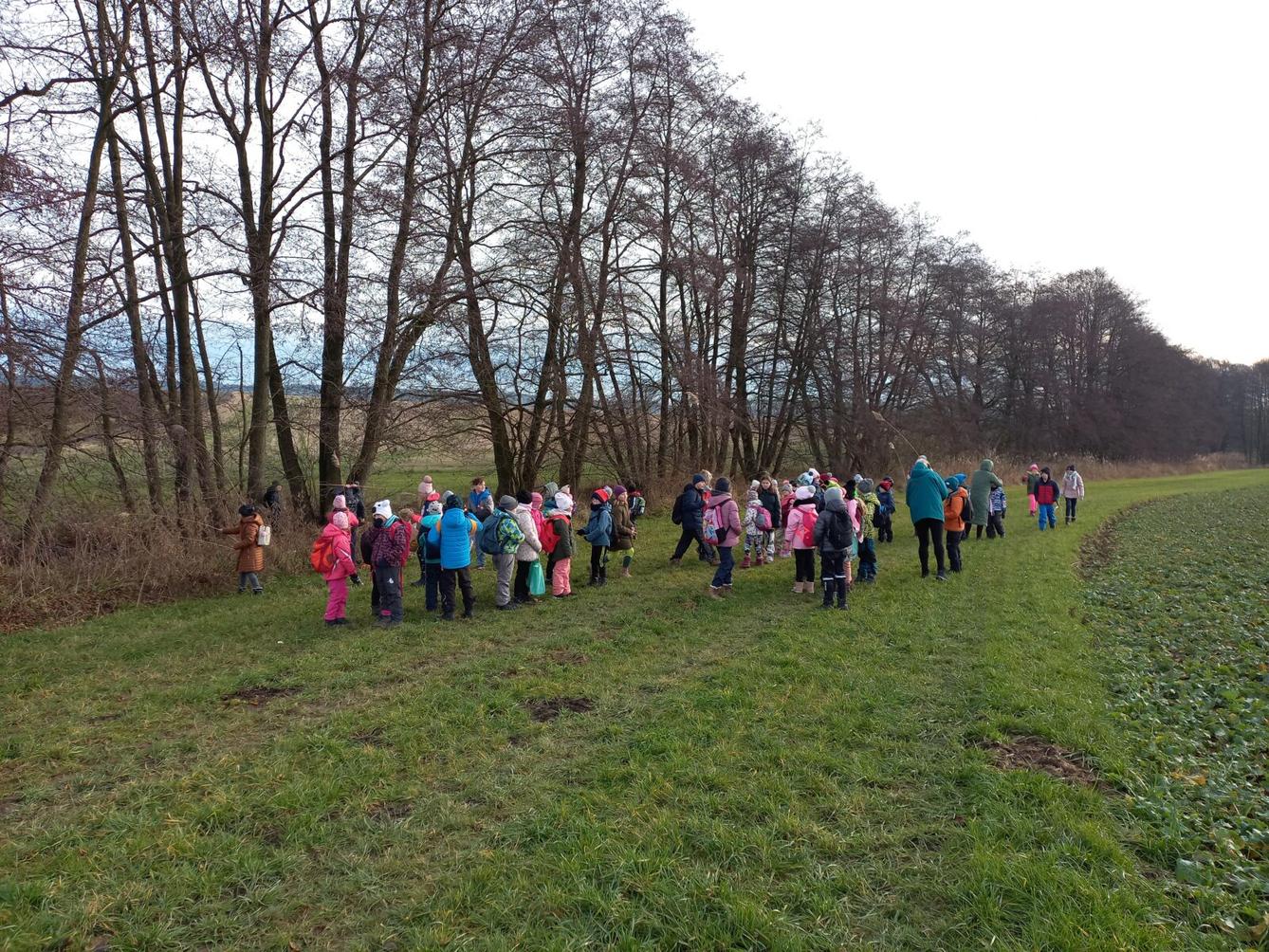 Vánoční les na 1. stupni - 13