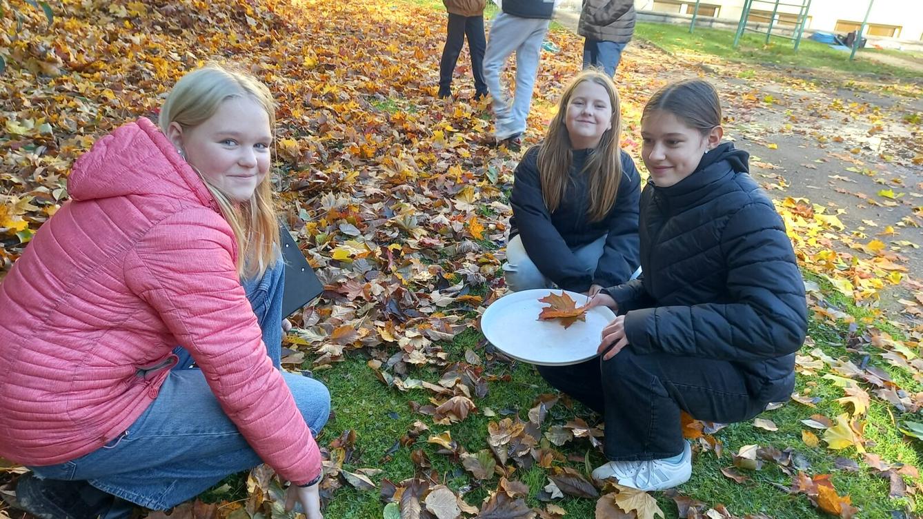 program Ekocentra Paleta Oucmanice - 6