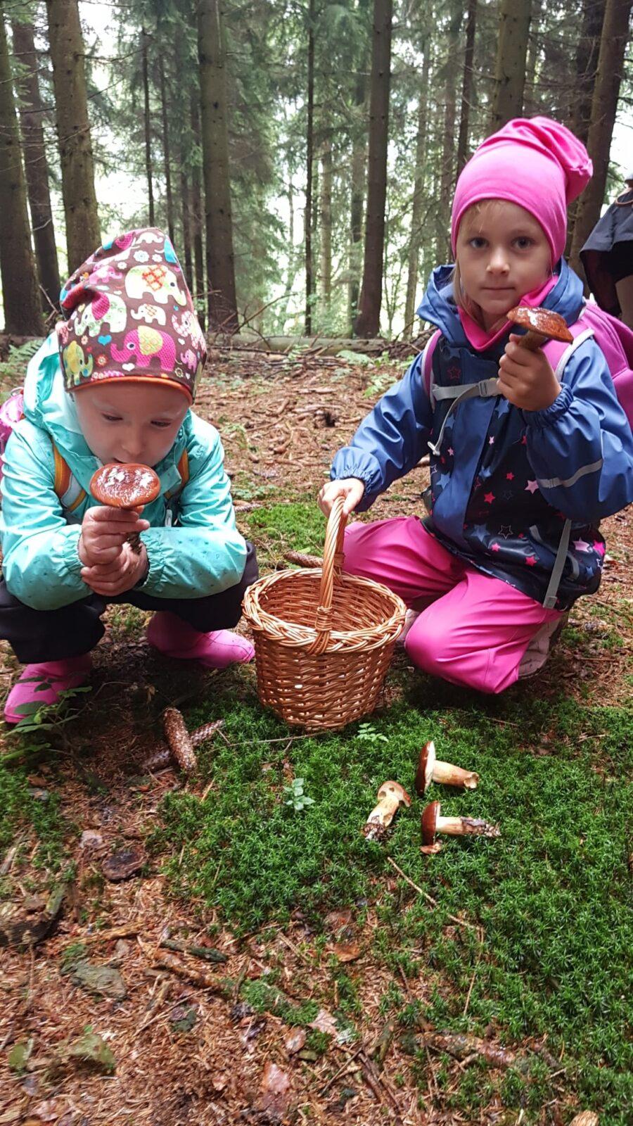SOVIČKY: ,,VÝPRAVA DO LESA" - 16