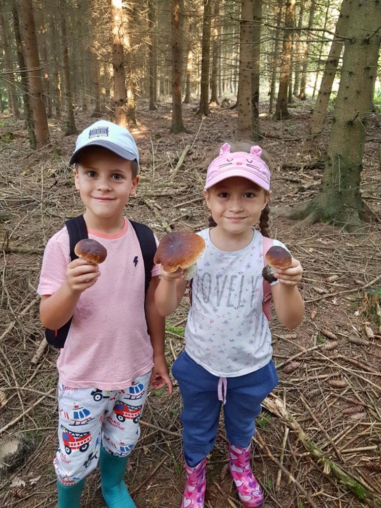 SOVIČKY: VÝPRAVA DO LESA - 16