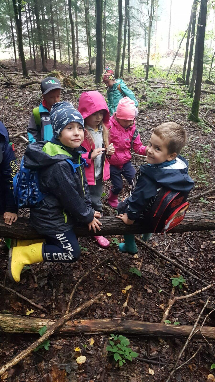 SOVIČKY: ,,VÝPRAVA DO LESA" - 17