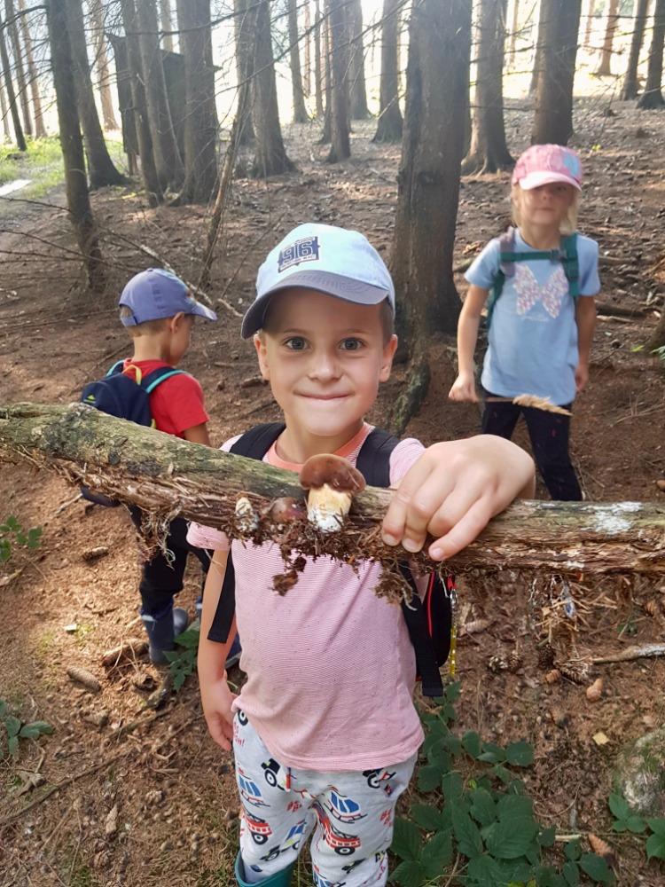 SOVIČKY: VÝPRAVA DO LESA - 17