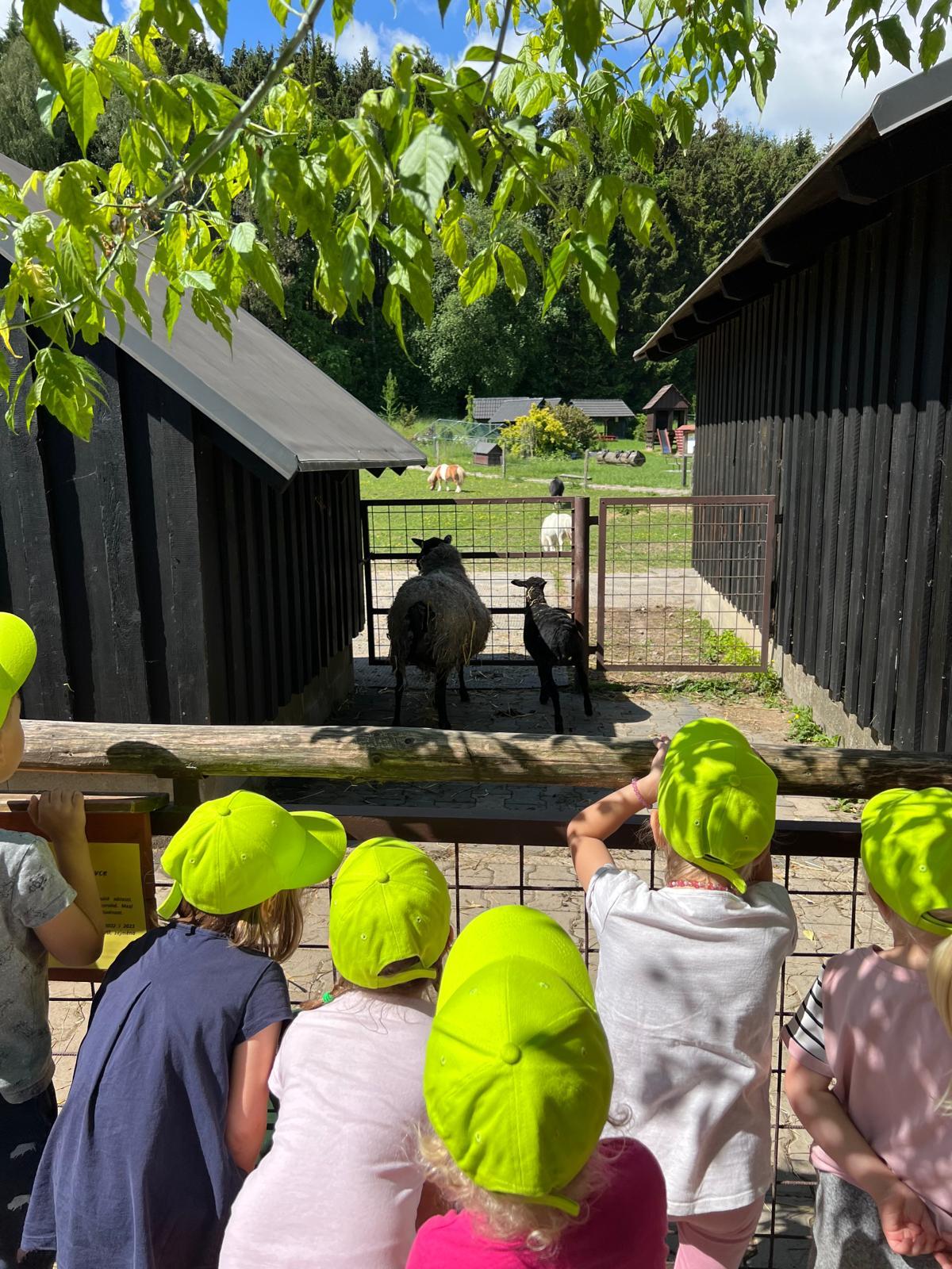 VÝLET NA BABIČČIN STATEK - 32