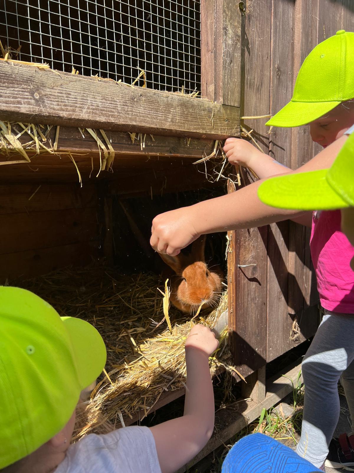 VÝLET NA BABIČČIN STATEK - 33