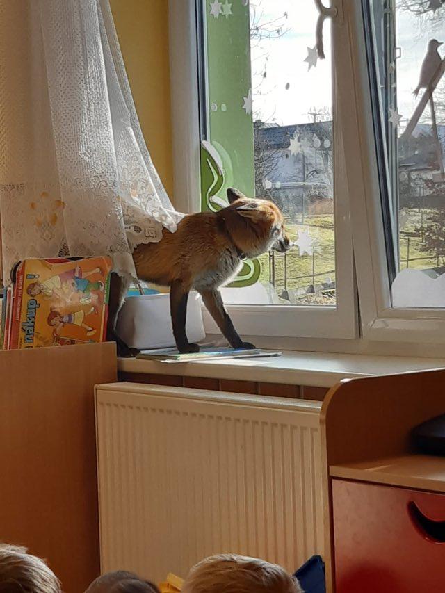 Tvoříme krmítka a LIŠKA - 16