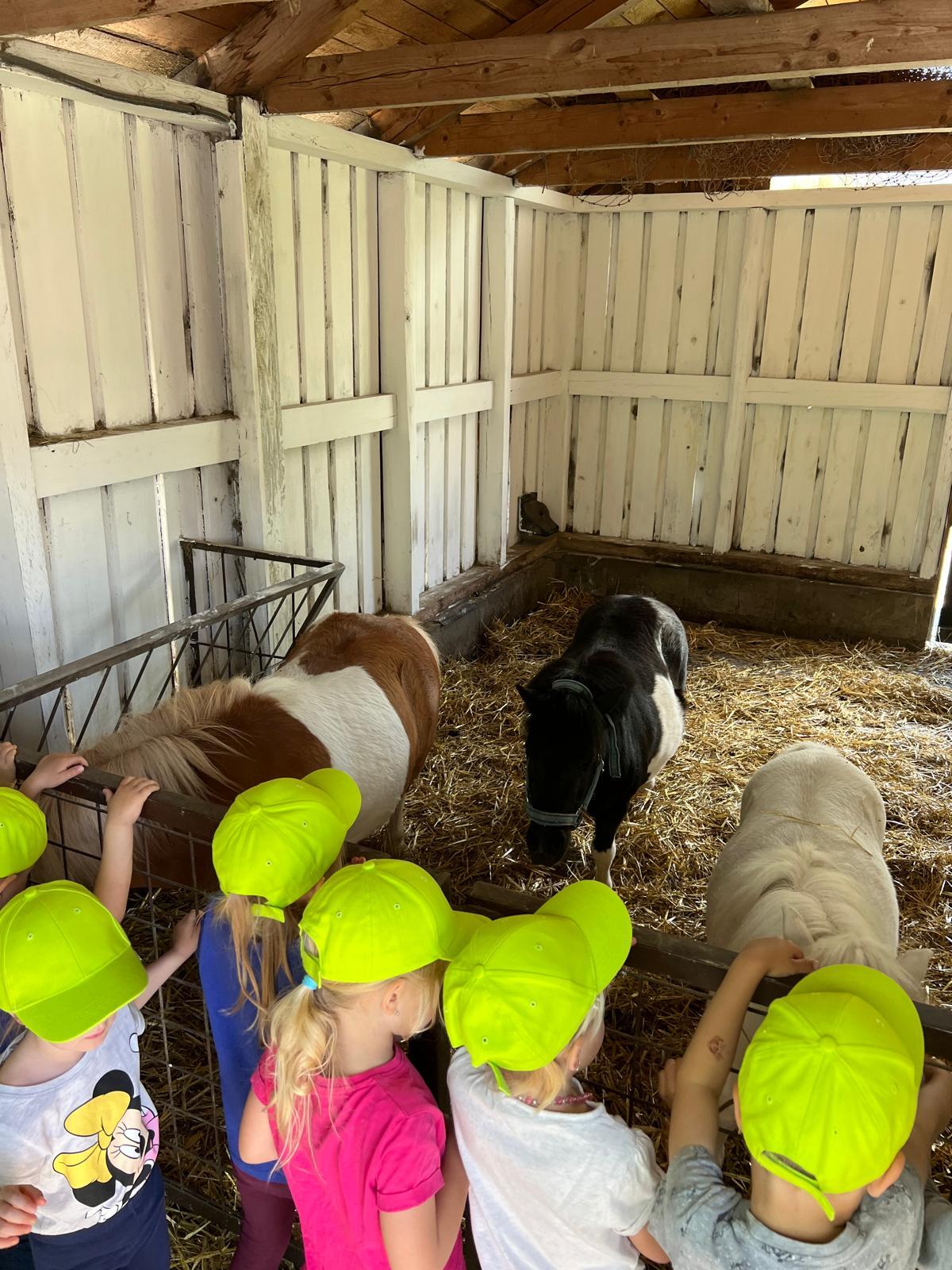 VÝLET NA BABIČČIN STATEK - 35