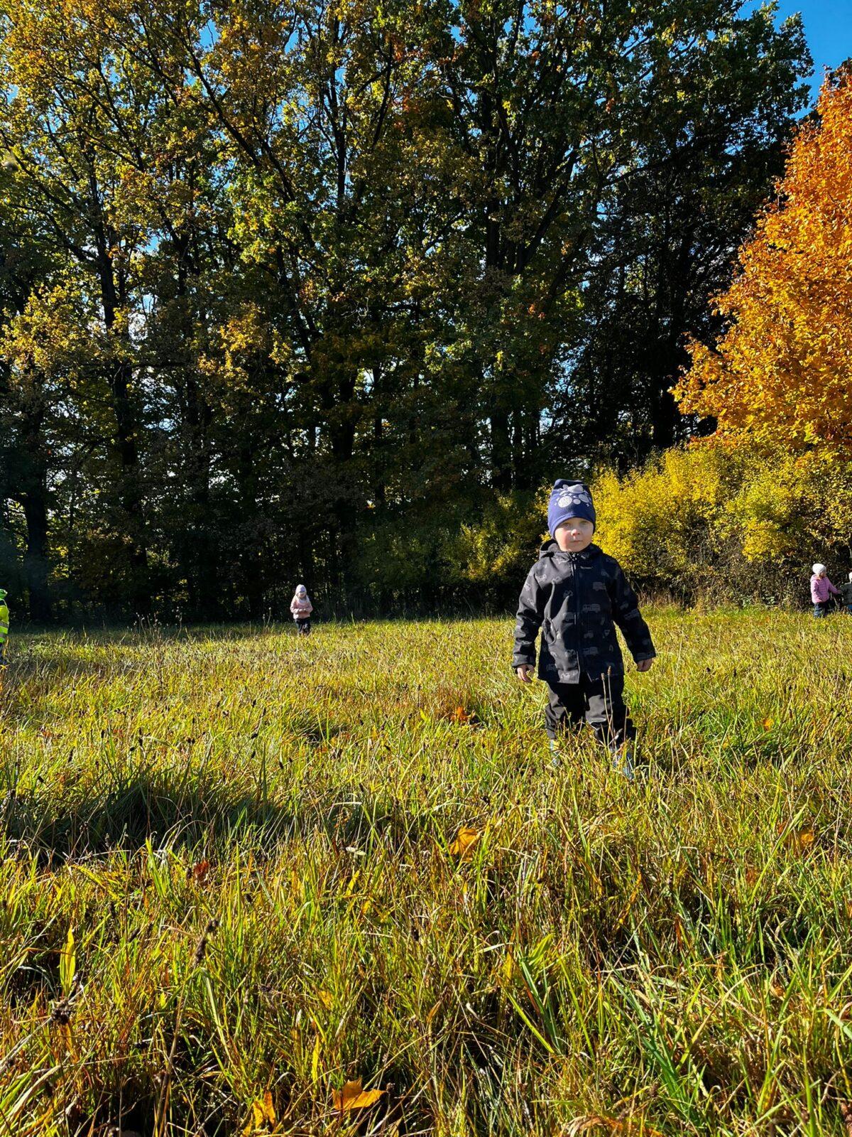 procházka do kaštánky - 2